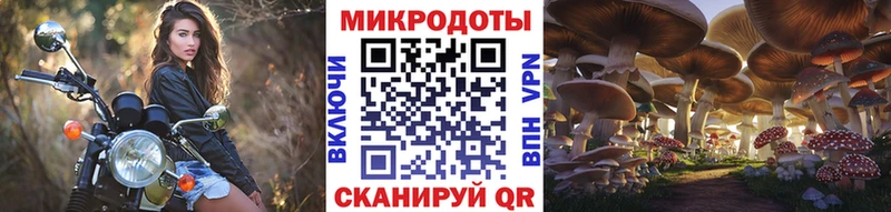 Псилоцибиновые грибы Psilocybine cubensis Струнино