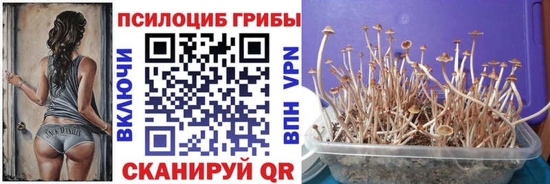 Псилоцибиновые грибы MAGIC MUSHROOMS  Купить  Струнино 