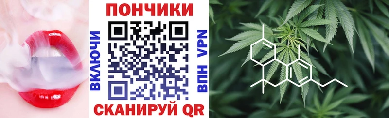 Бошки марихуана OG Kush  Купить закладки  Струнино 